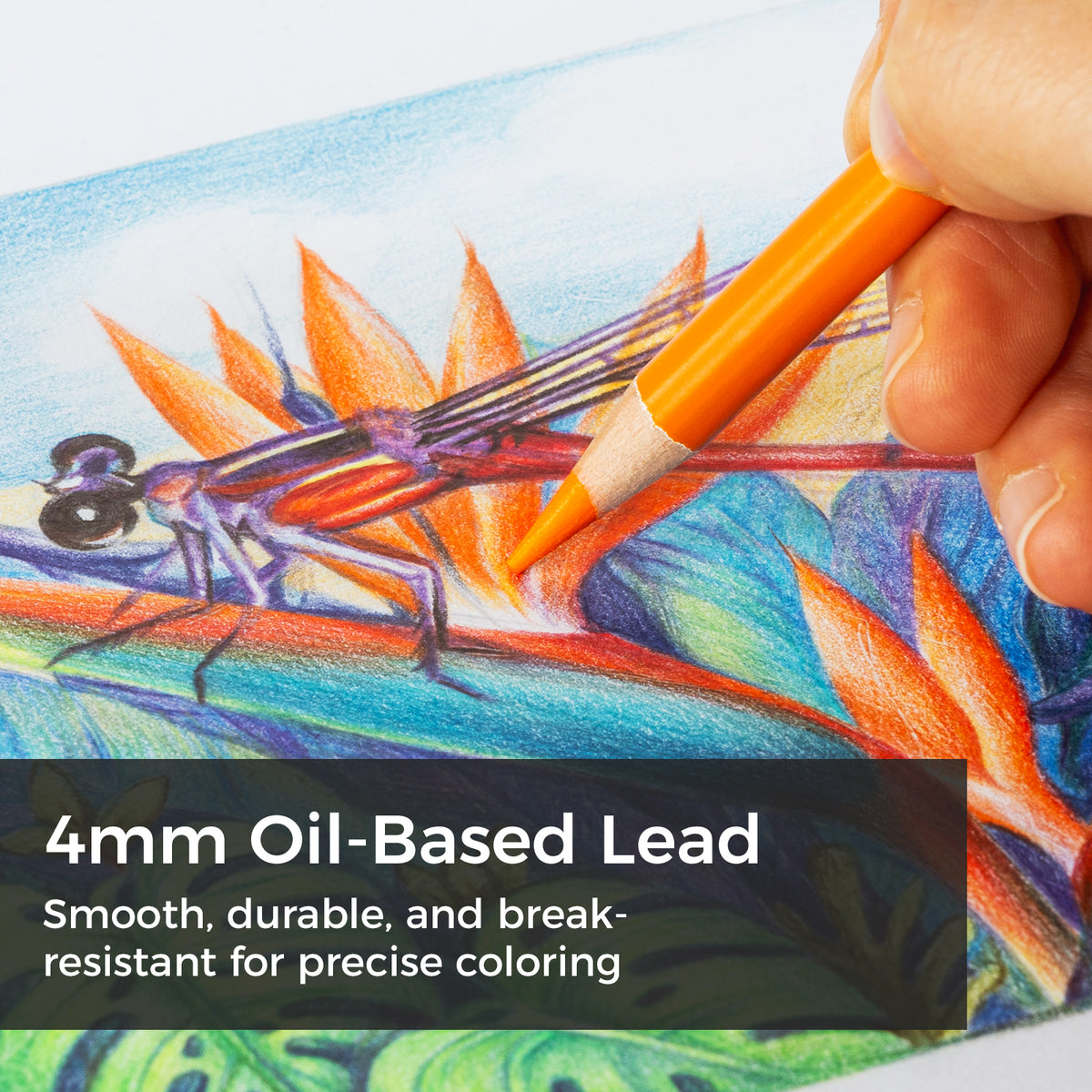 Ohuhu Halawa Series 72 Colors Oil-based Colored Pencils Clearance